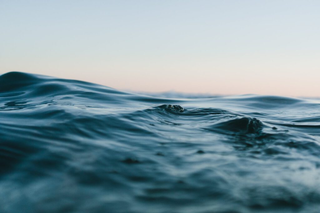 How To Enable GZIP Compression In WordPress Without A Plugin