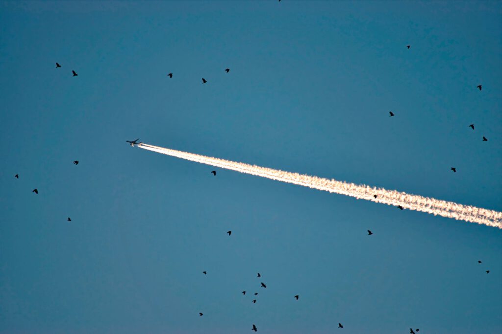 How To Stop Loading Jetpack's CSS File